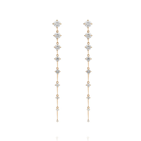 Sequence Long Earrings